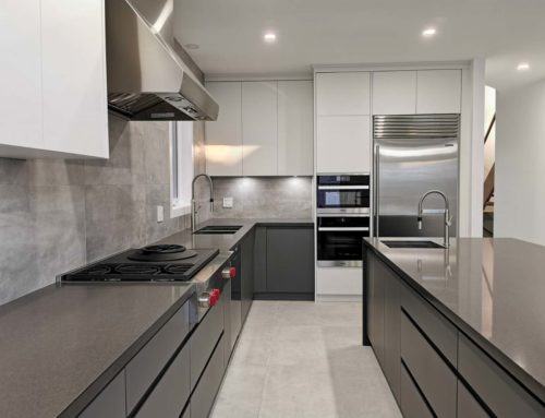 Modern & Contemporary Kitchen