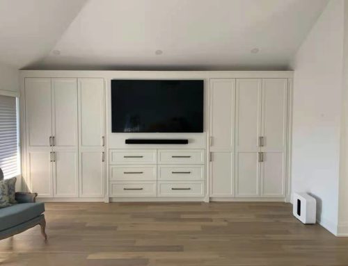 Wall Unit with Integrated Closets and TV